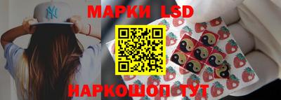 тгк Бийск