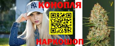тгк Бийск