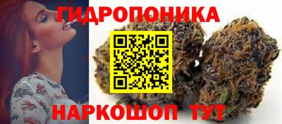 тгк Бийск