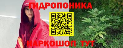амф Берёзовский