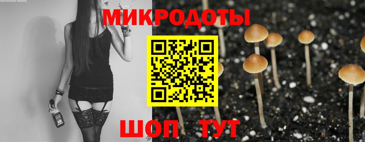 Кандалакша  Псилоцибиновые грибы мицелий  сколько стоит  Вход с VPN 