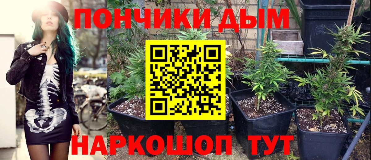 МАРИХУАНА White Widow  Марихуана марихуана  Вход с VPN  Марихуана ГИДРОПОН  Кандалакша  Каннабис THC 21% 